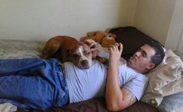 Delta Flight Dog Diversion MSP: What Caused the Emergency Landing?